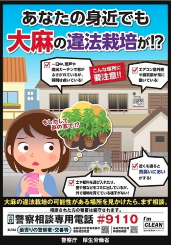 大麻の違法栽培.jpg